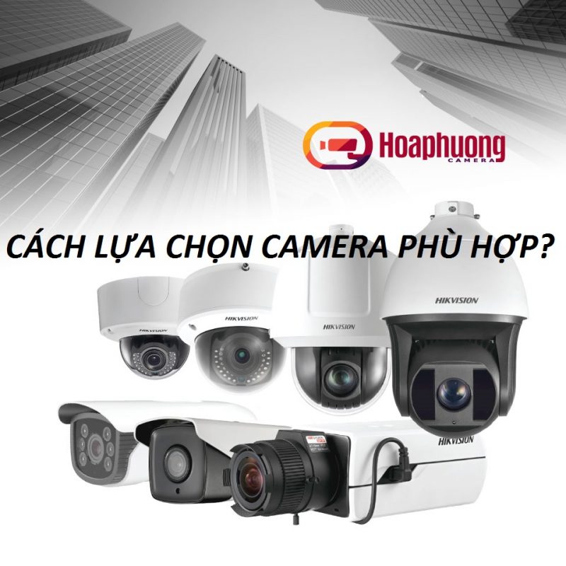 Hoa Phượng Camera