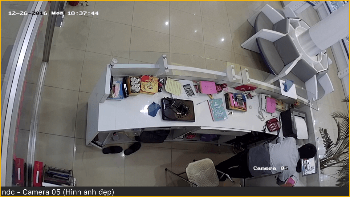 Hoa Phượng Camera