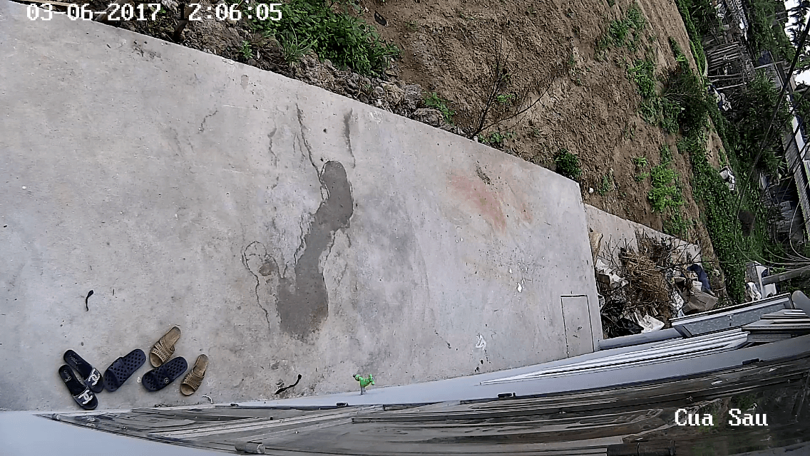 Hoa Phượng Camera