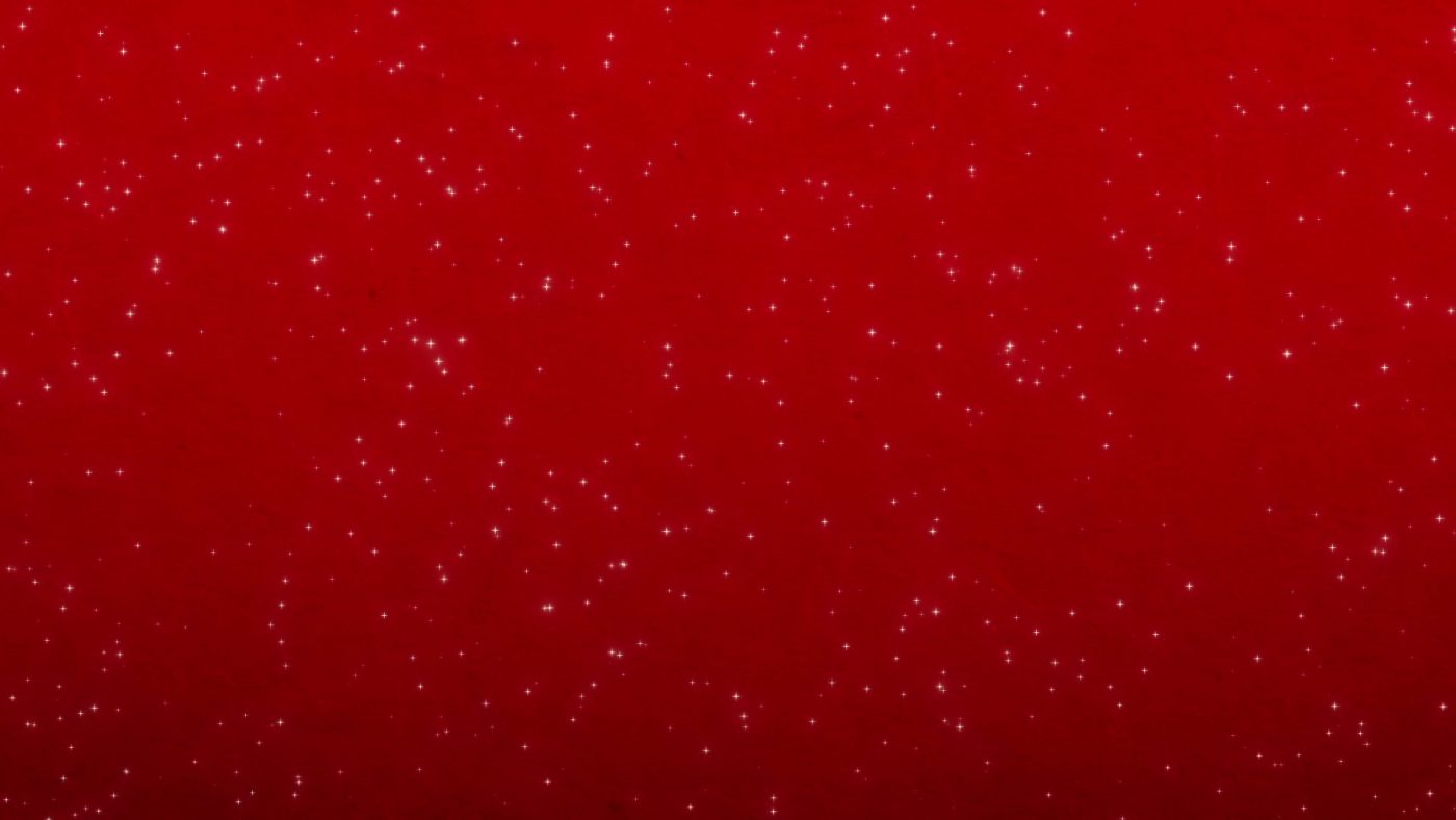 Hoa Phượng Camera