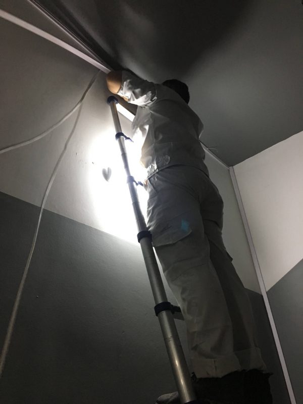 Hoa Phượng Camera