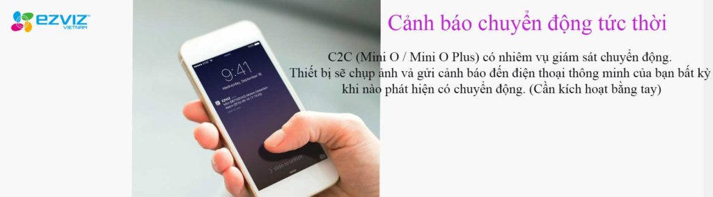 Hoa Phượng Camera