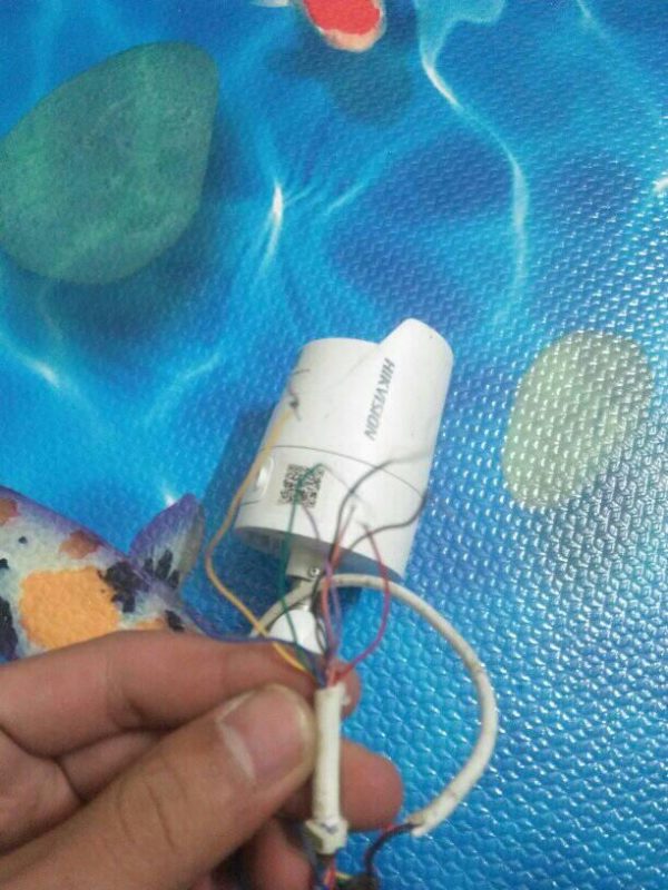 Hoa Phượng Camera