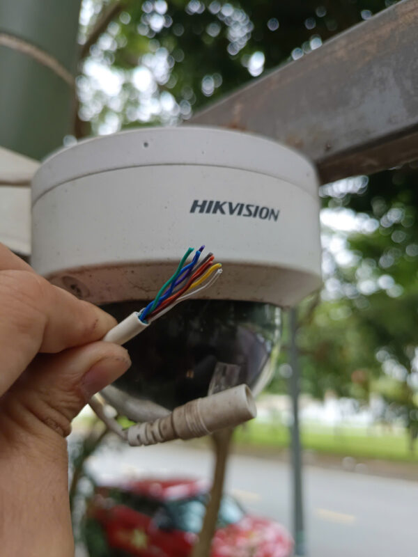 Hoa Phượng Camera