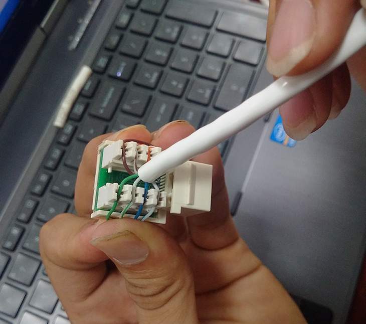 Hoa Phượng Camera