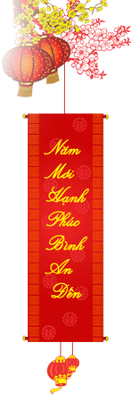 Hoa Phượng Camera