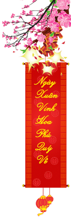 Hoa Phượng Camera