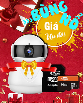 Hoa Phượng Camera