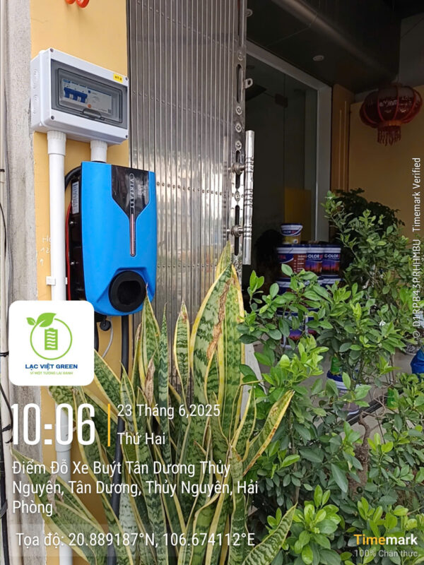Hoa Phượng Camera